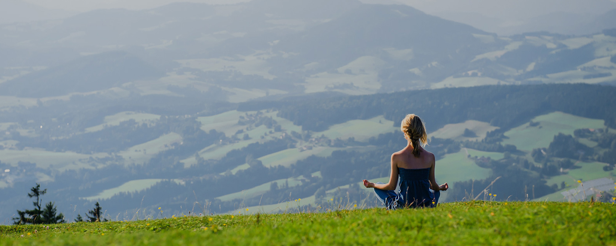 The Life School Bhopal